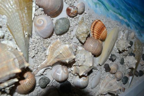 Apartamentos Kela's Seashell Art Decor Studio