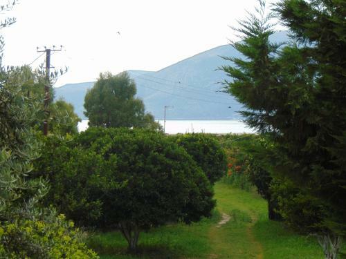 Apartamento Garden Vila Jako