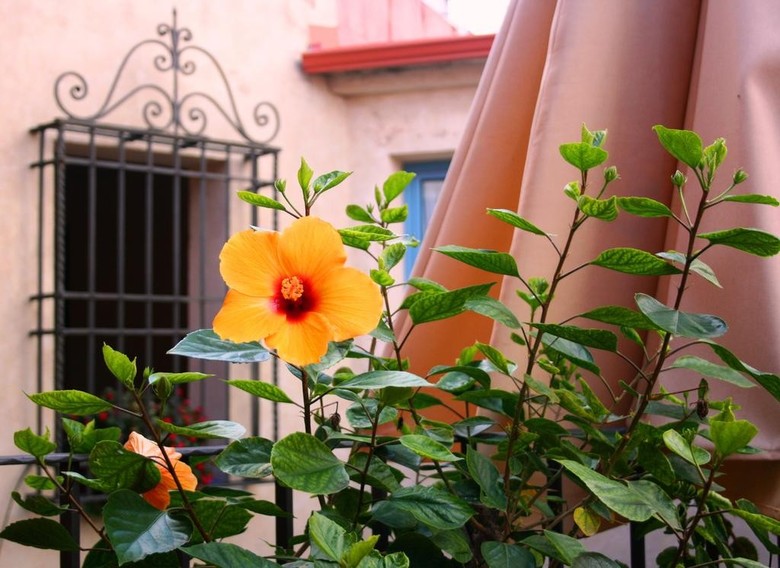 Hotel Conde De Cardenas