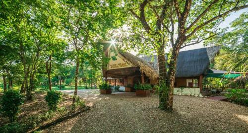Hotel Kikiwitz Resort