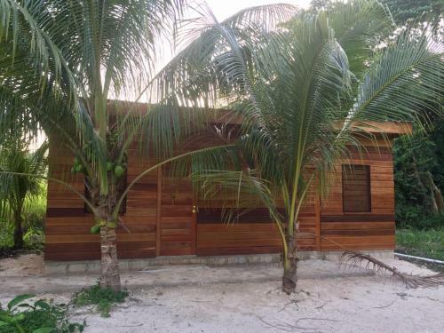 Hostal The Tree Of Life Guesthouse