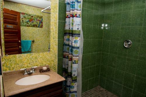 Hostal The Tree Of Life Guesthouse
