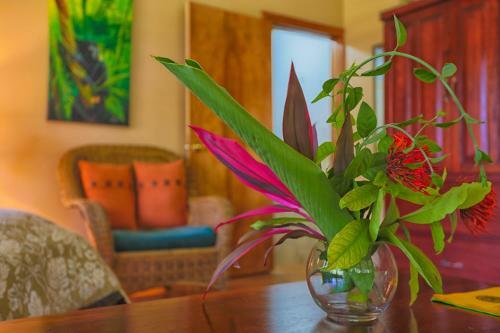 Hotel Bocawina Rainforest Resort