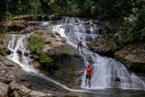 Hotel Bocawina Rainforest Resort