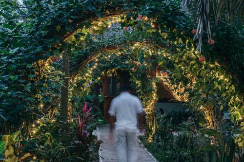 Hotel Bocawina Rainforest Resort