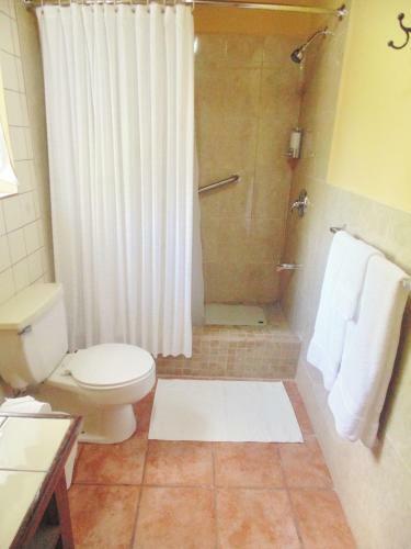 Hotel Hummingbird Suites