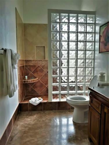 Hotel Brahma Blue