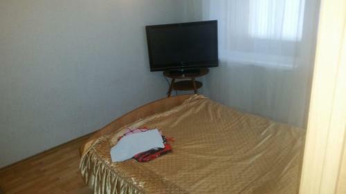 Apartment Vostok