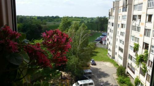 Apartment Near Brest Fortress