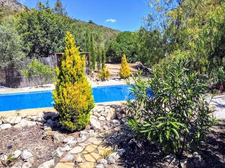 Villa Casas Rurales Los Algarrobales