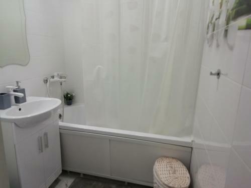 Apartment Center Azeska 49