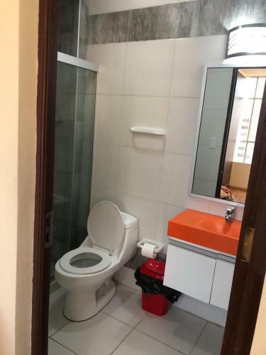 Apartamentos Edicifio Torre Esteban 488