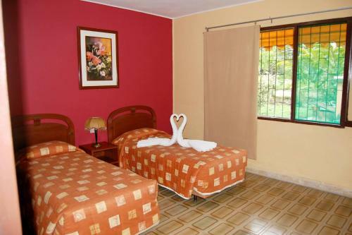 Lodge Cesar's Tropical Hotel
