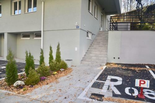 Apartmani Zlatka - Story