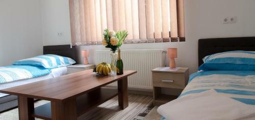 Hostal Guesthouse Vila Puzic