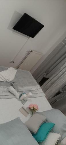 Apartman Apolon