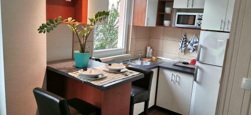 Apartment Mejdan