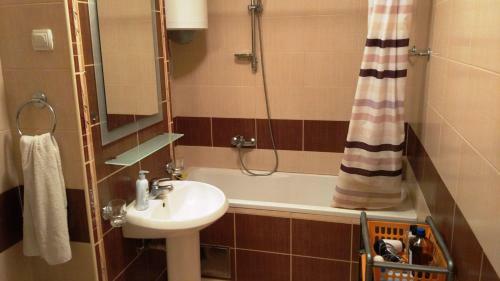Aleja Center, Brown & Green Apartment
