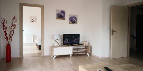 Andrea Apartment
