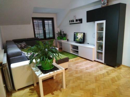 Apartamento Receptiva Bl