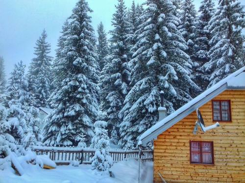 Hostal Etno Ku?a ''nada''
