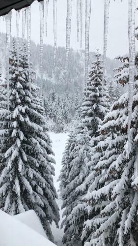 Apartamento Montana Jahorina