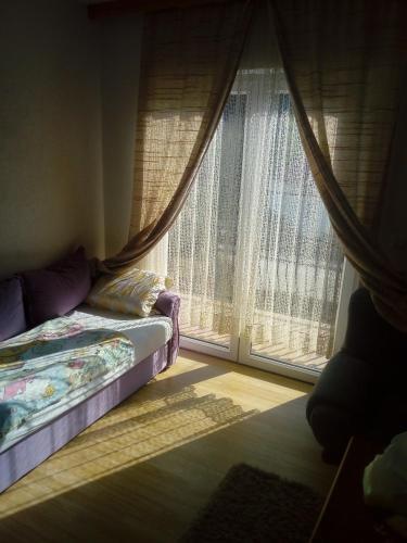 Apartmani Alema