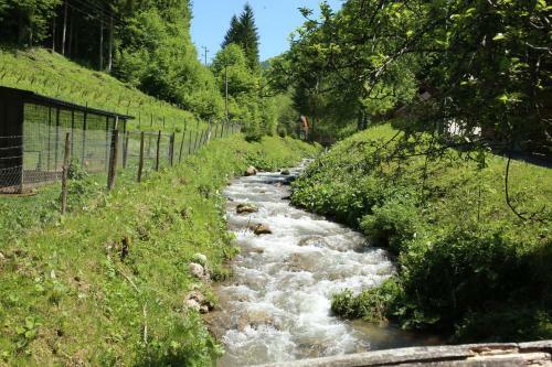 Jajce Ranch Verig