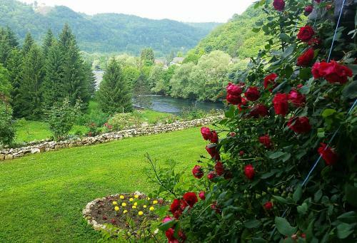 Bed & Breakfast Unaqua Apartments