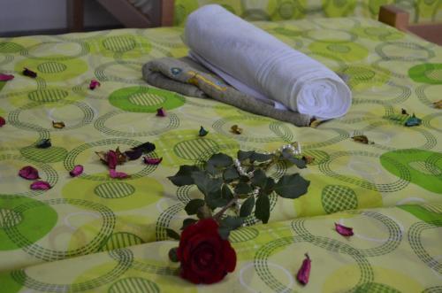 Apartamento Preno?i?te M&a