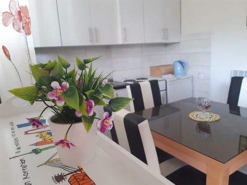 Second Home Apartment