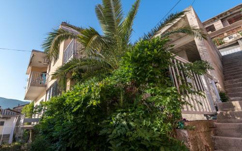 Ankica & Anamarija Apartments