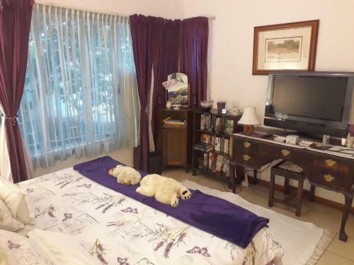 Bed & Breakfast Queen's Halt