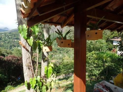 Estrela Do Imbu�