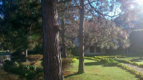 Apartamento No Residencial Green Valley