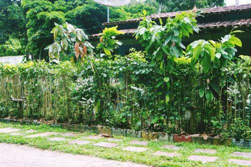 Hostal Pousada Recanto Do Sabia