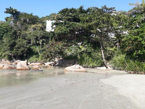 Apartamento Apto 708