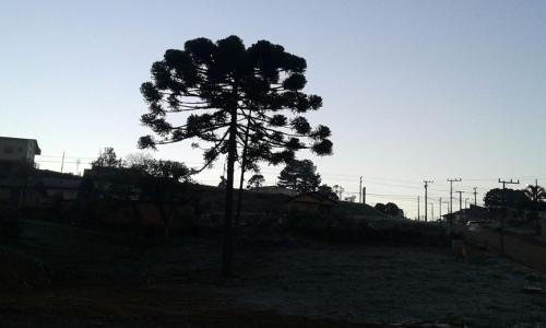 Hostal Pousada Miraflor