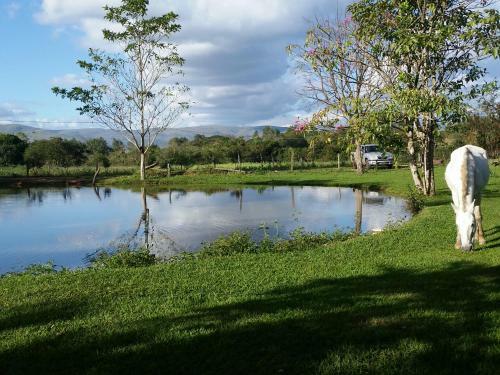 Lodge Chale Cantinho De Minas