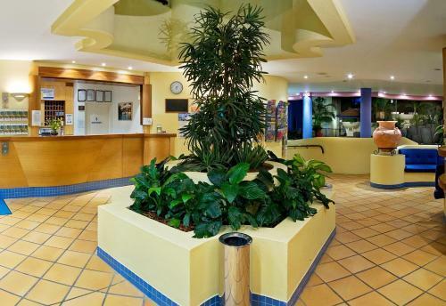 Hotel Nautilus Mooloolaba