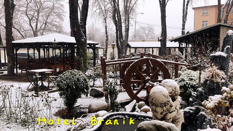 Hotel Branik