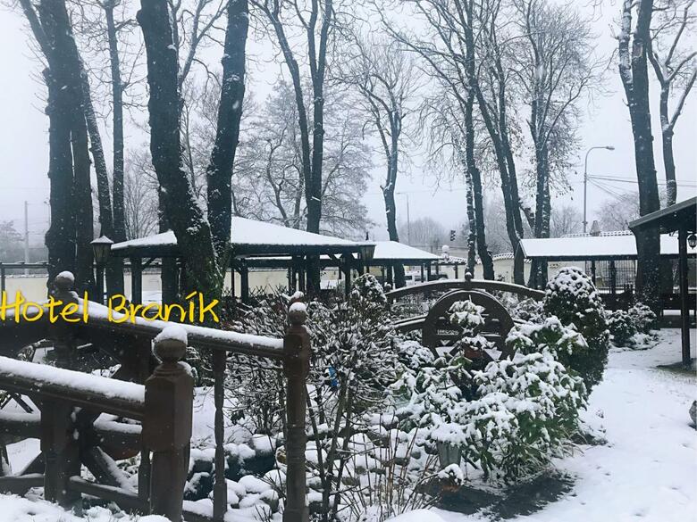 Hotel Branik