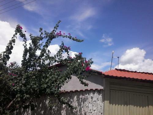Su�te Da Lapa