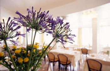 Hotel Torremaura(.)