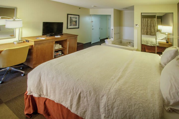 Hotel Hampton Inn South Haven
