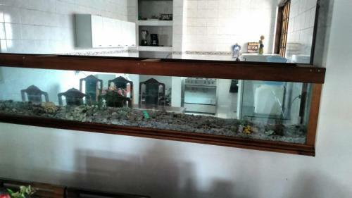 Paradise Garatucaia