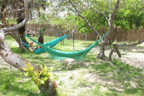 Kite Point Hostel Atins