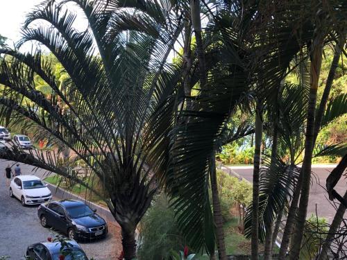 Apartamento Pontal Do Lago Flat Service