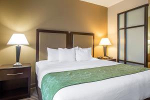 Hotel Comfort Suites