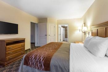 Hotel Comfort Inn & Suites